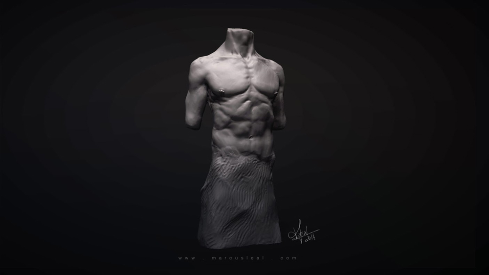 marcusLeal_anatomyExercise_male_Optimized
