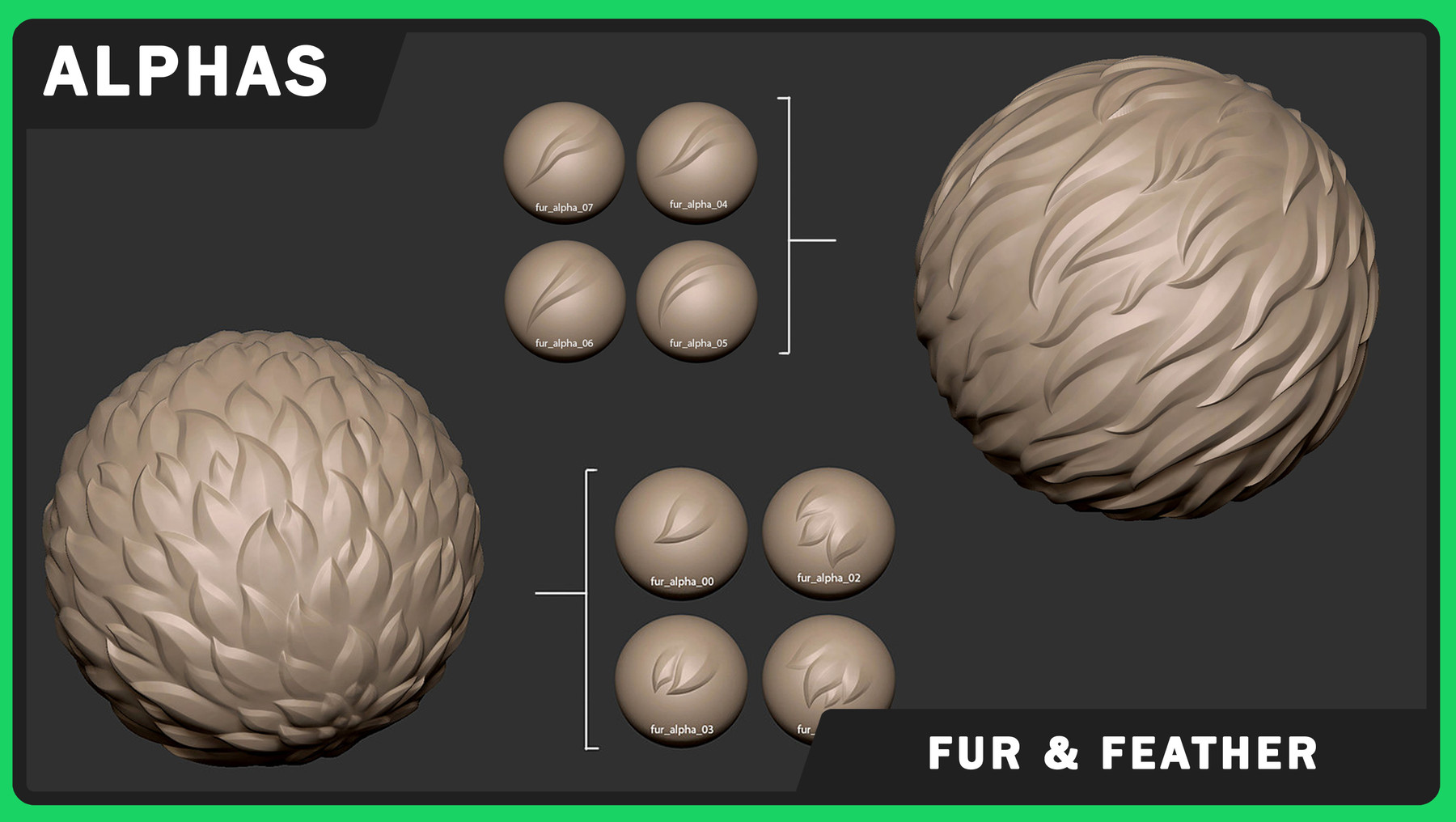 An image of feather alphas