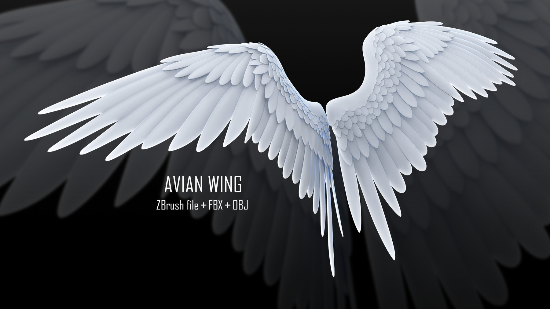 Bird wings