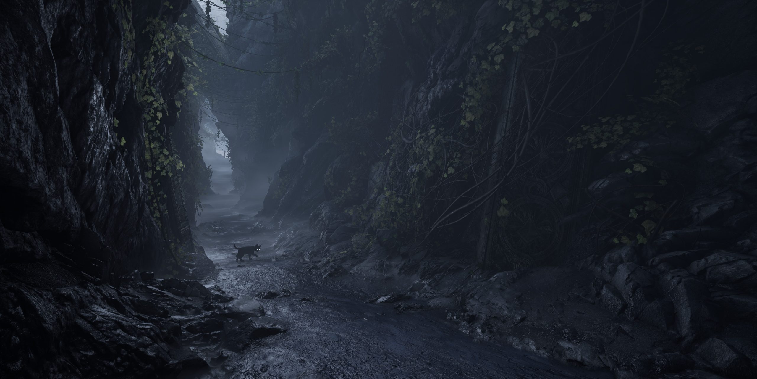 A mossy rock crevasse 