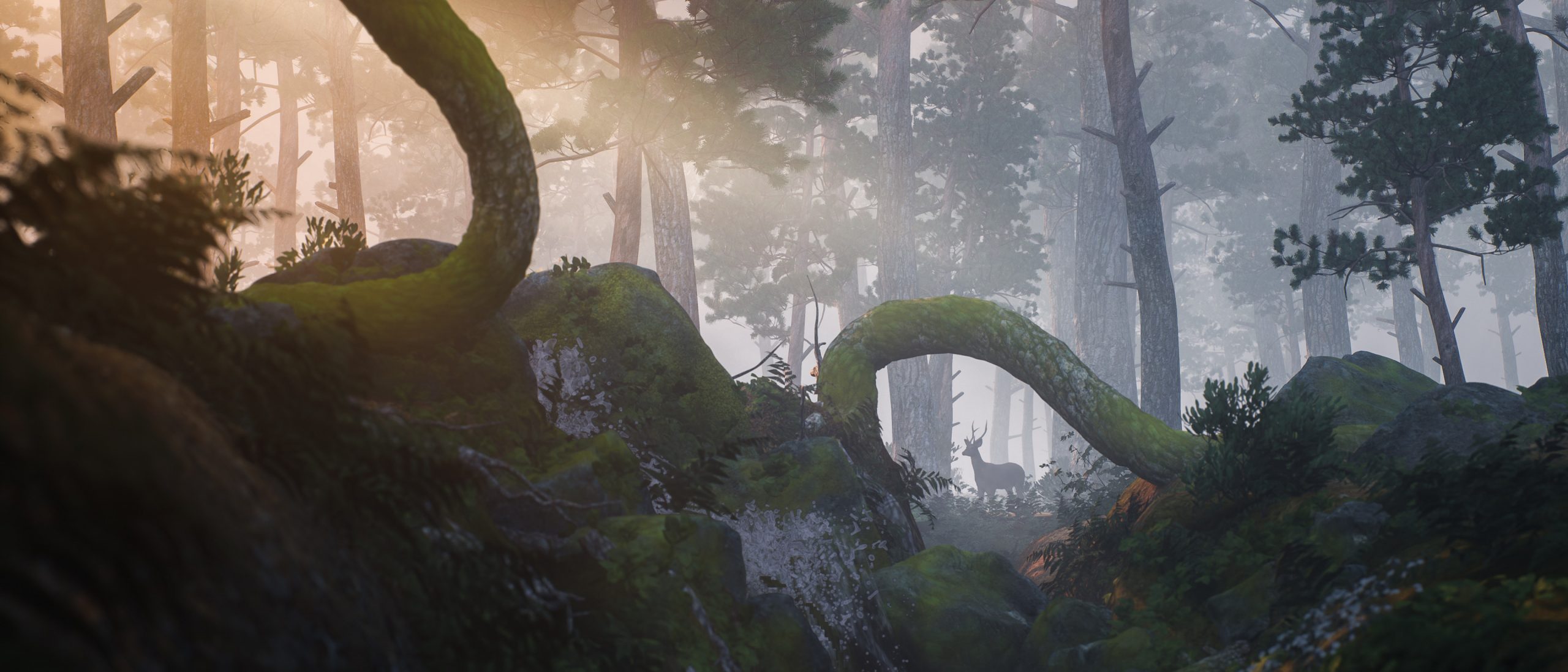 Old forest stones, trees, and roots obscure a deer in the fog