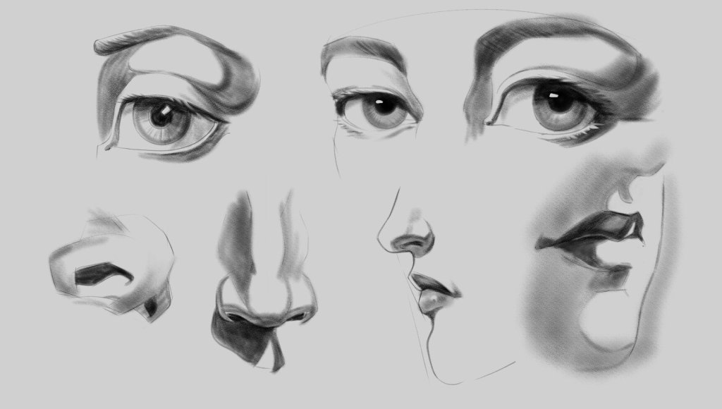 Eye nose and mouth anatomy