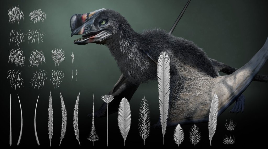 A feathery dinosaur demonstrating different brush feathers